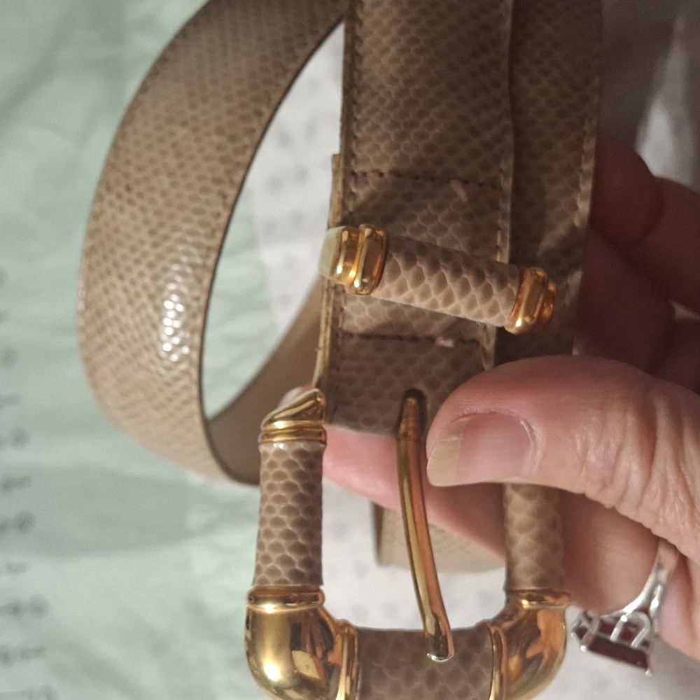 Chic Beige Belt with Gold Buckle